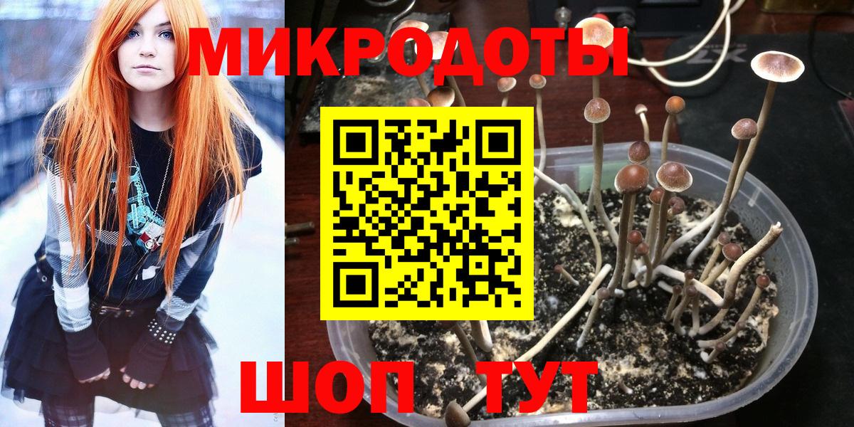 Псилоцибиновые грибы мухоморы  Вход с VPN  закладки  Асино 